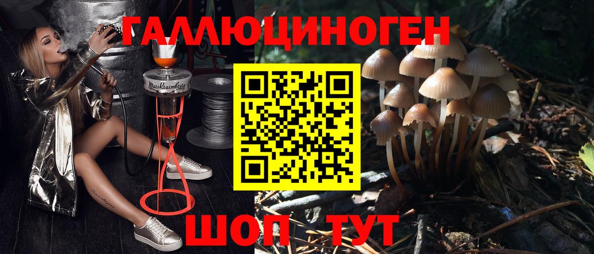 Галлюциногенные грибы ЛСД Йошкар-Ола